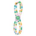 SWATCH LADY CARAMELLISSIMA 29MM LP135B