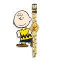 SWATCH X PEANUTS NEW GENT POW WOW 41MM SO29Z101
